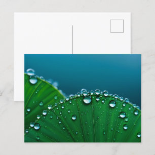 Wasser fällt auf Blätter Postkarte