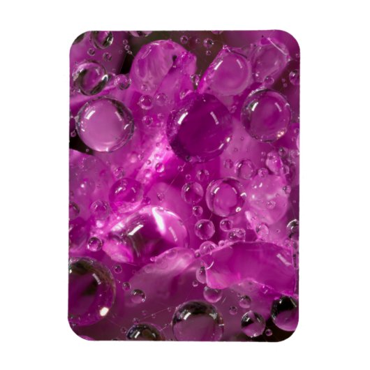 Wasser fällt auf die Blume, Kalifornien Magnet (Vertikal)