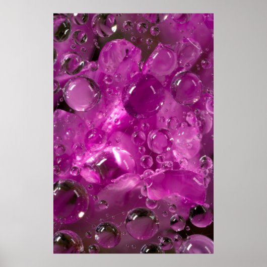 Wasser fällt auf die Blume, Kalifornien Poster (Vorne)