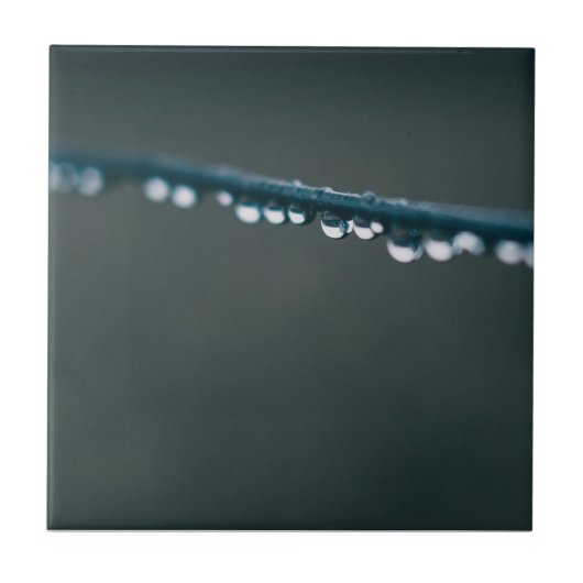 Wasser fällt auf Draht Fliese (Vorderseite)