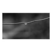 Wasser fällt auf Draht Fotodruck (Vorne)