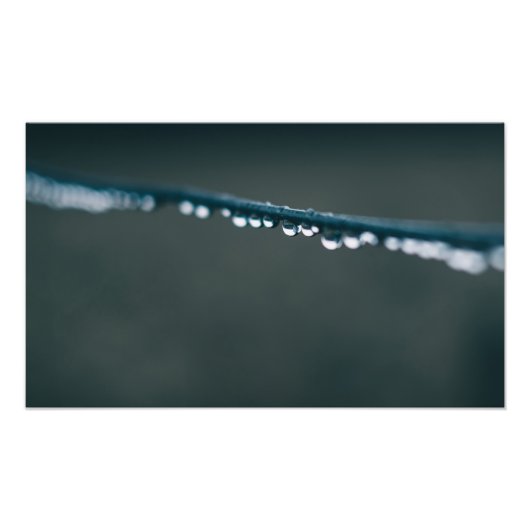 Wasser fällt auf Draht Fotodruck (Vorne)