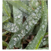 Wasser fällt auf Gras Duschvorhang (Vorderseite)
