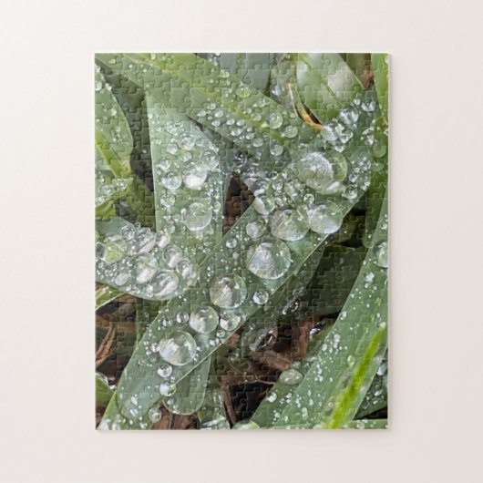 Wasser fällt auf Gras Puzzle (Vertikal)