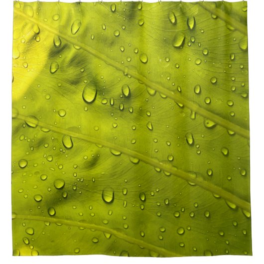 Wasser fällt auf grünes Blatt Duschvorhang (Vorderseite)