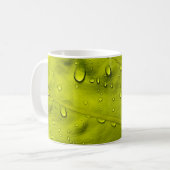 Wasser fällt auf grünes Blatt Kaffeetasse (Vorderseite Links)