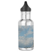 Wasser-Flasche: Freiheitsstatue Edelstahlflasche (Links)