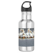 Wasser-Flasche, Menge der Pelikane Edelstahlflasche (Vorderseite)