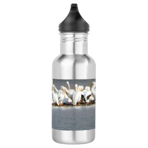 Wasser-Flasche, Menge der Pelikane Edelstahlflasche