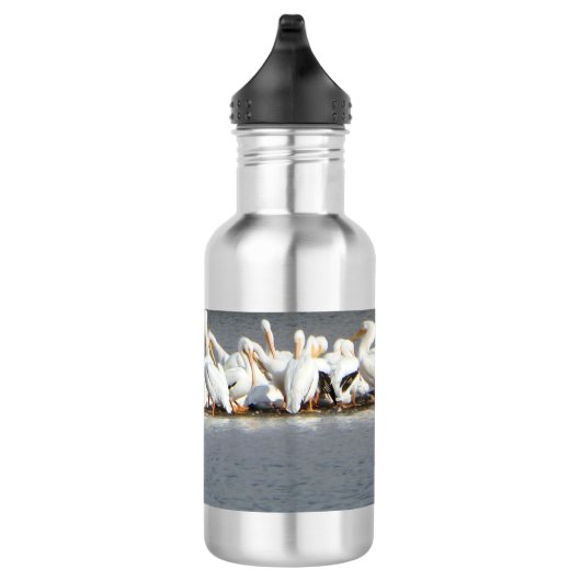 Wasser-Flasche, Menge der Pelikane Edelstahlflasche (Rechts)
