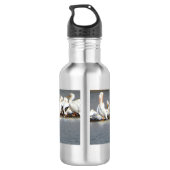 Wasser-Flasche, Menge der Pelikane Edelstahlflasche (Rückseite)