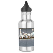 Wasser-Flasche, Menge der Pelikane Edelstahlflasche (Links)