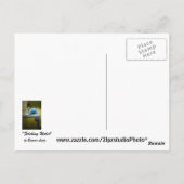 Wasser holen postkarte (Rückseite)