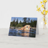 Wasser-Hund - Karten (Gelbe Blume)