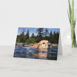 Wasser-Hund - Karten