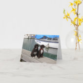 Wasser-Hunde auf dem Dock Karte (Gelbe Blume)