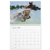 Wasser-Hunde Kalender (Jan 2027)