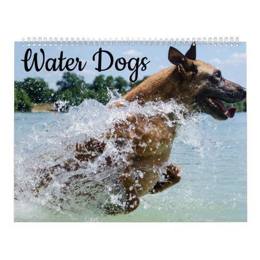Wasser-Hunde Kalender (Titelbild)