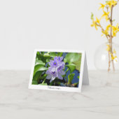Wasser Hyacinth Sammelkarten Karte (Gelbe Blume)