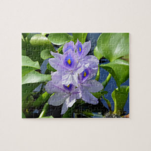 Wasser Hyazinth Lavendel Blume Puzzle