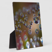 Wasser in Bewegung Fotoplatte (Seite)