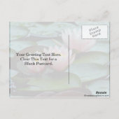 Wasser in rosa postkarte (Rückseite)
