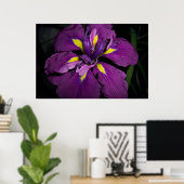 Wasser Iris 458 Poster (Heimbüro)