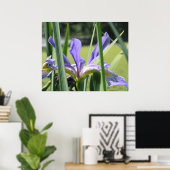 Wasser Iris auf dem Teich Poster (Heimbüro)