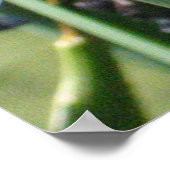 Wasser Iris auf dem Teich Poster (Ecke)