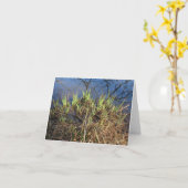 Wasser-Iris-Karte (leer) Karte (Gelbe Blume)