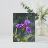 Wasser Iris Postkarte (Stehend Vorderseite)