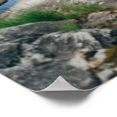 Wasser | Kanufahrt am See in Schweden Poster (Ecke)