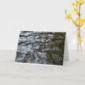 Wasser, Karte (Gelbe Blume)