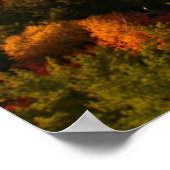 Wasser | Killarney Provincial Park Canada Poster (Ecke)