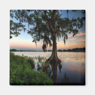 Wasser   Kraft Azalea Park Maitland Florida Magnet