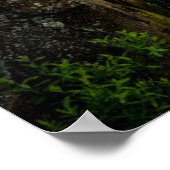 Wasser | Lake Superior Grand Marais, Minnesota Poster (Ecke)