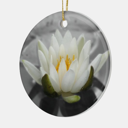 Wasser-Lilie BW-Blumen-Verzierung Keramik Ornament (Links)