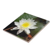 Wasser-Lilie Fliese (Seite)