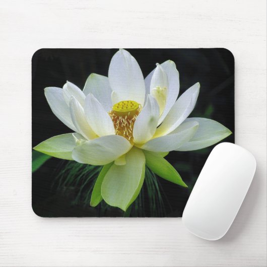 Wasser-Lilie Mousepad (Mit Mouse)