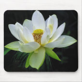 Wasser-Lilie Mousepad (Vorne)
