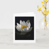 Wasser-Lilie Notecard Karte (Gelbe Blume)