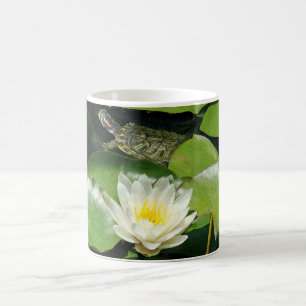 Wasser-Lilie u. Schildkröte-Tasse Kaffeetasse