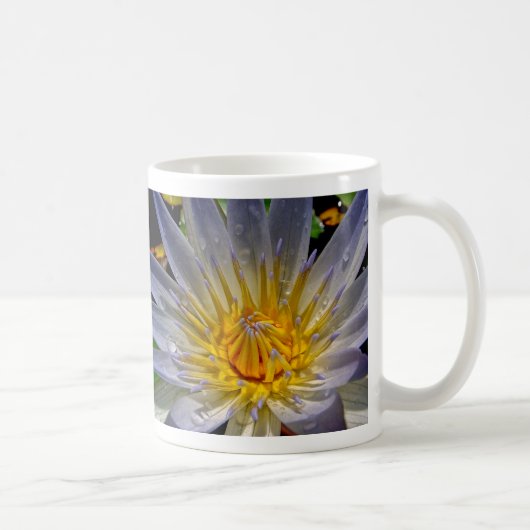 Wasser-Lilien-Blau u. Gold Kaffeetasse (Rechts)