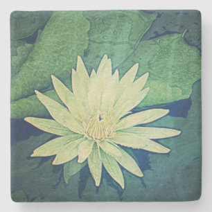 Wasser-Lilien-Blumen-Grün Steinuntersetzer