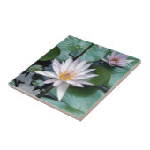 Wasser-Lilien-Fliese Fliese (Seite)