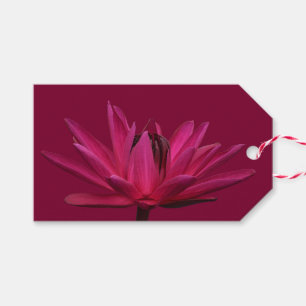 Wasser-Lilien-Geschenk-Umbauten Burgunders rosa Geschenkanhänger