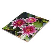 Wasser Lilien in Blüte Fliese (Seite)