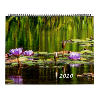 Wasser-Lilien-Kalender 2020 Kalender