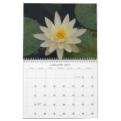 Wasser-Lilien-Kalender Kalender (Jan 2027)
