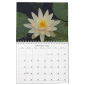 Wasser-Lilien-Kalender Kalender (Jan 2026)
